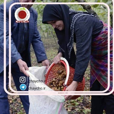 خواص فندق اعلای اشکور