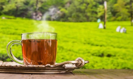 خواص چای قلم 